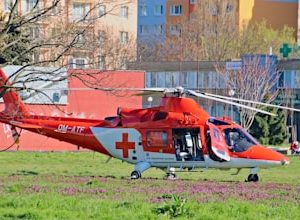 Traumatic Emergency Care